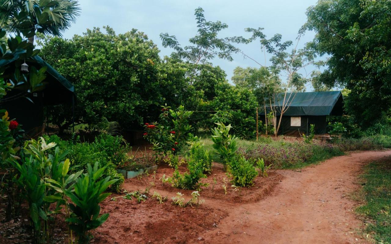 Beyond Community Appartement Auroville Buitenkant foto