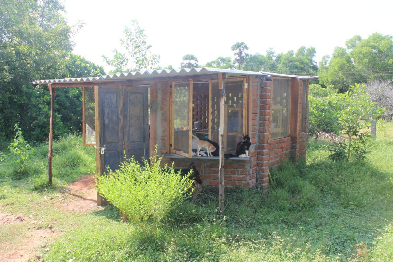 Beyond Community Appartement Auroville Buitenkant foto