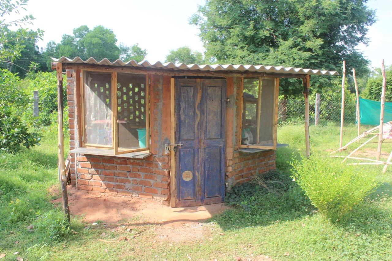 Beyond Community Appartement Auroville Buitenkant foto